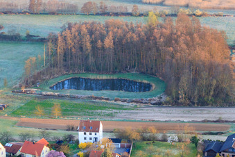 Pond in the biotope in the Billigheimer Bruch nature reserve in spring in Hergersweiler in the state Rhineland-Palatinate, Germany