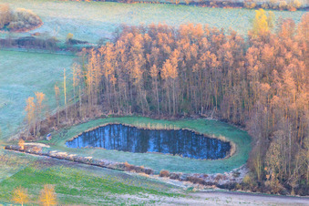 Aerial view of Pond in the biotope in the Billigheimer Bruch nature reserve in spring in Hergersweiler in the state Rhineland-Palatinate, Germany