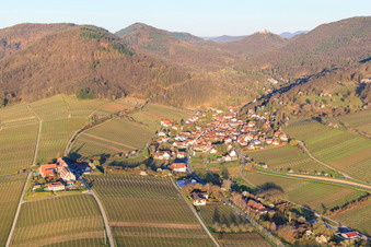 Wine-growing village in the morning light from the east in Leinsweiler in the state Rhineland-Palatinate, Germany