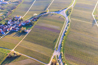 Wine route with blossoming almond trees at the village entrance in Ranschbach in the state Rhineland-Palatinate, Germany