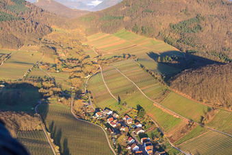 Bare vineyards at the end of the village in the Ranschbachtal in Ranschbach in the state Rhineland-Palatinate, Germany