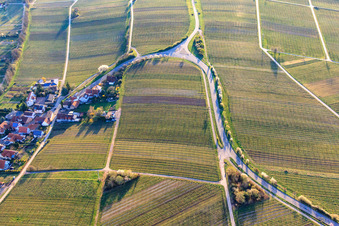 Wine route with blossoming almond trees at the village entrance in the district Arzheim in Landau in der Pfalz in the state Rhineland-Palatinate, Germany