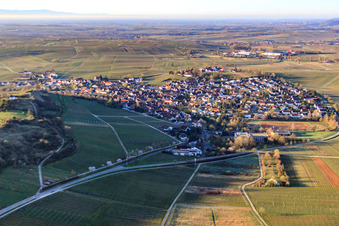 Wine-growing village in the morning light from the north in Ilbesheim bei Landau in the state Rhineland-Palatinate, Germany