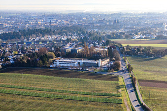 Wollmesheimer Höhe in Landau in der Pfalz in the state Rhineland-Palatinate, Germany seen from above