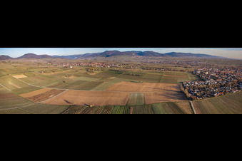 Fields between Landau W and Arzheim in the district Wollmesheim in Landau in der Pfalz in the state Rhineland-Palatinate, Germany