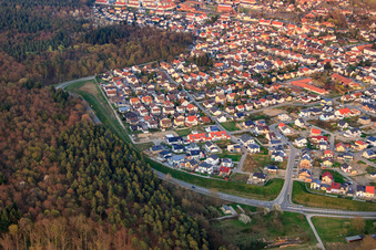 Aerial photograpy of Bird ring in Jockgrim in the state Rhineland-Palatinate, Germany
