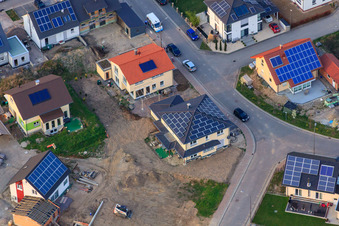 Bird Ring x Owl Path in Jockgrim in the state Rhineland-Palatinate, Germany