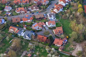 Orchid Street in Jockgrim in the state Rhineland-Palatinate, Germany
