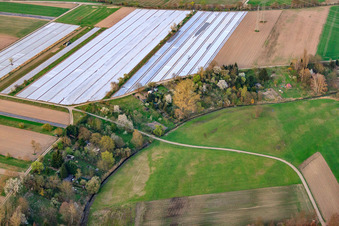 Gardens at the Rheinzaberner Randgraben in Rheinzabern in the state Rhineland-Palatinate, Germany