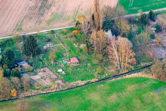Aerial photograpy of Gardens at the Rheinzaberner Randgraben in Rheinzabern in the state Rhineland-Palatinate, Germany