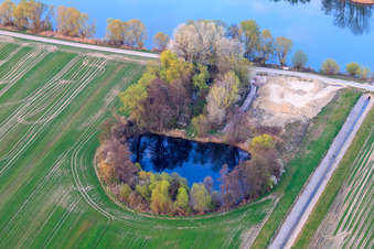 Fishing pond on the Old Rhine near Neupotz in Jockgrim in the state Rhineland-Palatinate, Germany