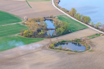 Aerial view of Fishing pond on the Old Rhine near Neupotz in Jockgrim in the state Rhineland-Palatinate, Germany