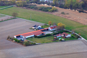 Aerial view of Aussiedlerhof on the Old Rhine near Neupotz in Neupotz in the state Rhineland-Palatinate, Germany