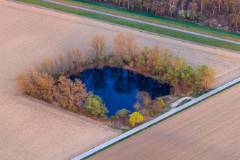 Fishing pond on the Rhine dam in Leimersheim in the state Rhineland-Palatinate, Germany