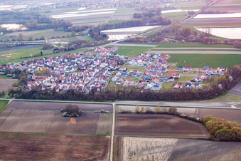 District Hardtwald in Neupotz in the state Rhineland-Palatinate, Germany from the drone perspective