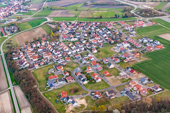 District Hardtwald in Neupotz in the state Rhineland-Palatinate, Germany from a drone