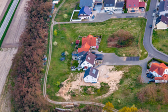 District Hardtwald in Neupotz in the state Rhineland-Palatinate, Germany seen from a drone