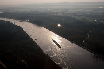 Riparian zones on the course of the river Rhine in Lauterbourg in Grand Est, France