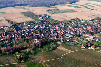 Aerial photograpy of Village - view on the edge of agricultural fields and farmland in Steinseltz in Grand Est, France