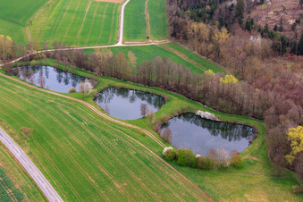 Aerial view of Fish ponds on the Erbach in the district Sondheim in Mellrichstadt in the state Bavaria, Germany