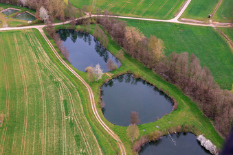 Oblique view of Fish ponds on the Erbach in the district Sondheim in Mellrichstadt in the state Bavaria, Germany