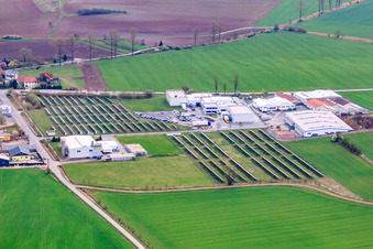 Agricultural PV systems at the industrial park with Bedien-Concept GmbH and EMS Straufhain GmbH electrical and metal works in the district Streufdorf in Straufhain in the state Thuringia, Germany