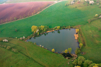 Pond between meadows in Sulzdorf an der Lederhecke in the state Bavaria, Germany