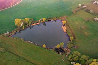 Aerial view of Pond between meadows in Sulzdorf an der Lederhecke in the state Bavaria, Germany