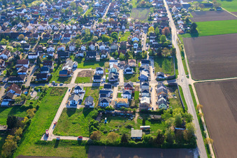 New Development Area East (Im Holderbusch) in Minfeld in the state Rhineland-Palatinate, Germany