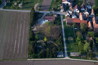 Ornamental garden from the south in Erlenbach bei Kandel in the state Rhineland-Palatinate, Germany
