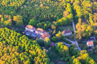 Settlement on Seufzterstraße in Bienwald in Scheibenhardt in the state Rhineland-Palatinate, Germany