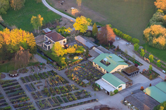 Oblique view of Bienwald Nursery and GREENTEC GmbH GbR in Berg in the state Rhineland-Palatinate, Germany