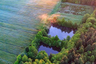 Fishing pond in the Otterbachtal on the edge of the Bienwald in Minfeld in the state Rhineland-Palatinate, Germany