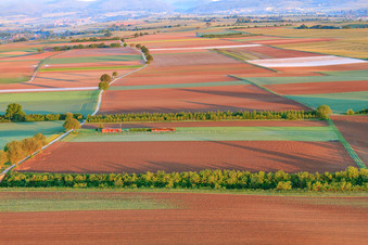 Model airfield of the model flying club Freckenfeld eV in Freckenfeld in the state Rhineland-Palatinate, Germany seen from above