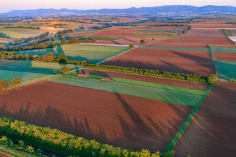 Bird's eye view of Model airfield of the model flying club Freckenfeld eV in Freckenfeld in the state Rhineland-Palatinate, Germany