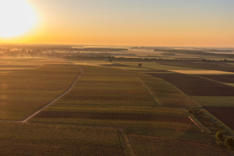 Aerial view of Sunrise over the village in Steinweiler in the state Rhineland-Palatinate, Germany