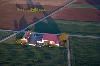 Bird's eye view of Billigheim-Ingenheim in the state Rhineland-Palatinate, Germany
