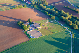Horse paddocks around the Birkenhof in Impflingen in the state Rhineland-Palatinate, Germany