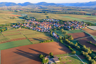 Village view in the morning from the east in Impflingen in the state Rhineland-Palatinate, Germany