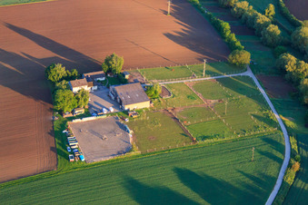 Aerial photograpy of Horse paddocks around the Birkenhof in Impflingen in the state Rhineland-Palatinate, Germany