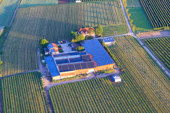 Gertrudenhof in Impflingen in the state Rhineland-Palatinate, Germany