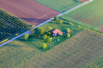 Grill hut Impflingen on the B38 in Impflingen in the state Rhineland-Palatinate, Germany