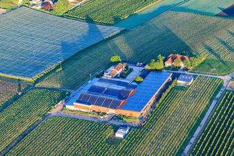 Aerial view of Gertrudenhof in Impflingen in the state Rhineland-Palatinate, Germany