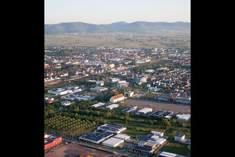 District Queichheim in Landau in der Pfalz in the state Rhineland-Palatinate, Germany viewn from the air