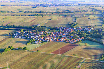 Village view in the morning from the south in Knöringen in the state Rhineland-Palatinate, Germany