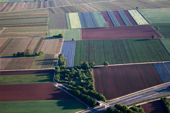 Bridge for a dirt road over the A65 in the district Mußbach an der Weinstraße in Neustadt an der Weinstraße in the state Rhineland-Palatinate, Germany