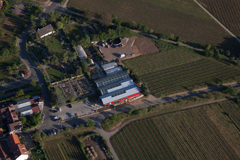 Flowers Schupp in the district Gimmeldingen in Neustadt an der Weinstraße in the state Rhineland-Palatinate, Germany from above