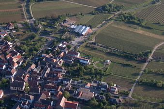 Flowers Schupp in the district Gimmeldingen in Neustadt an der Weinstraße in the state Rhineland-Palatinate, Germany out of the air
