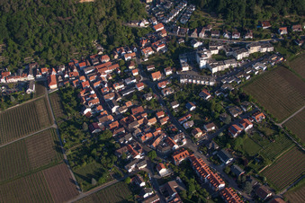 Oblique view of Almond ring in the district Haardt in Neustadt an der Weinstraße in the state Rhineland-Palatinate, Germany