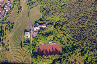 Sports field Sankt Martin at the Arens Hotel 327m above sea level in the district SaintMartin in Sankt Martin in the state Rhineland-Palatinate, Germany